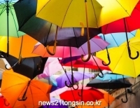 기사이미지