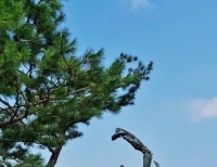 기사이미지