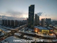 기사이미지