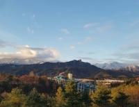 기사이미지