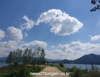 기사이미지