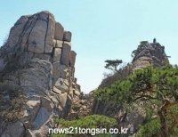 기사이미지