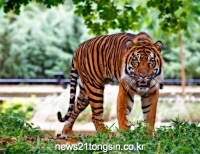 기사이미지