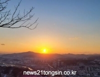 기사이미지