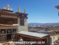 기사이미지