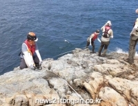 기사이미지