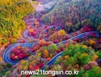 기사이미지