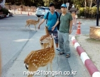 기사이미지