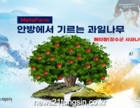 기사이미지