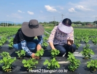 기사이미지