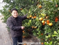 기사이미지