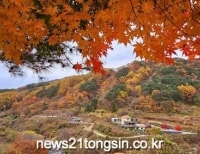 기사이미지