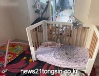 기사이미지