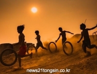기사이미지