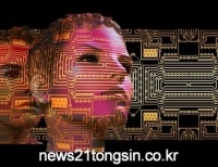 기사이미지
