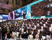 기사이미지