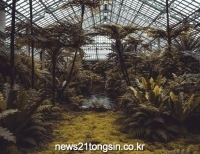 기사이미지