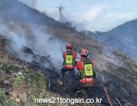 기사이미지