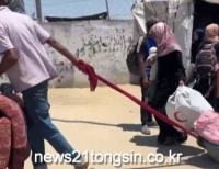 기사이미지