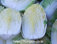 헤드라인 기사 이미지
