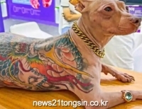 기사이미지