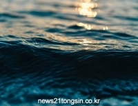 기사이미지