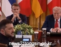  기사 이미지