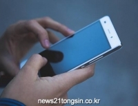 기사이미지