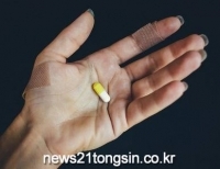 기사이미지