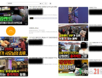 기사이미지