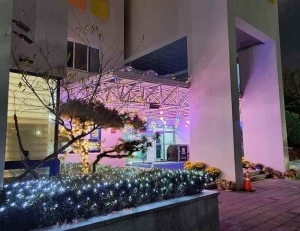 기사이미지